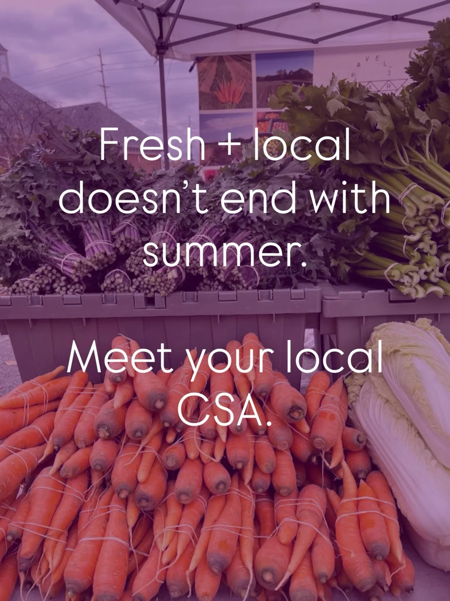 Fresh + local isn&rsquo;t just for summer.

CSA programs are one of our favorite ways to keep supporting local farms while bringing seasonal food to your table well into fall and winter.

Want to find a CSA near you? We&rsquo;ve put together a new Lo