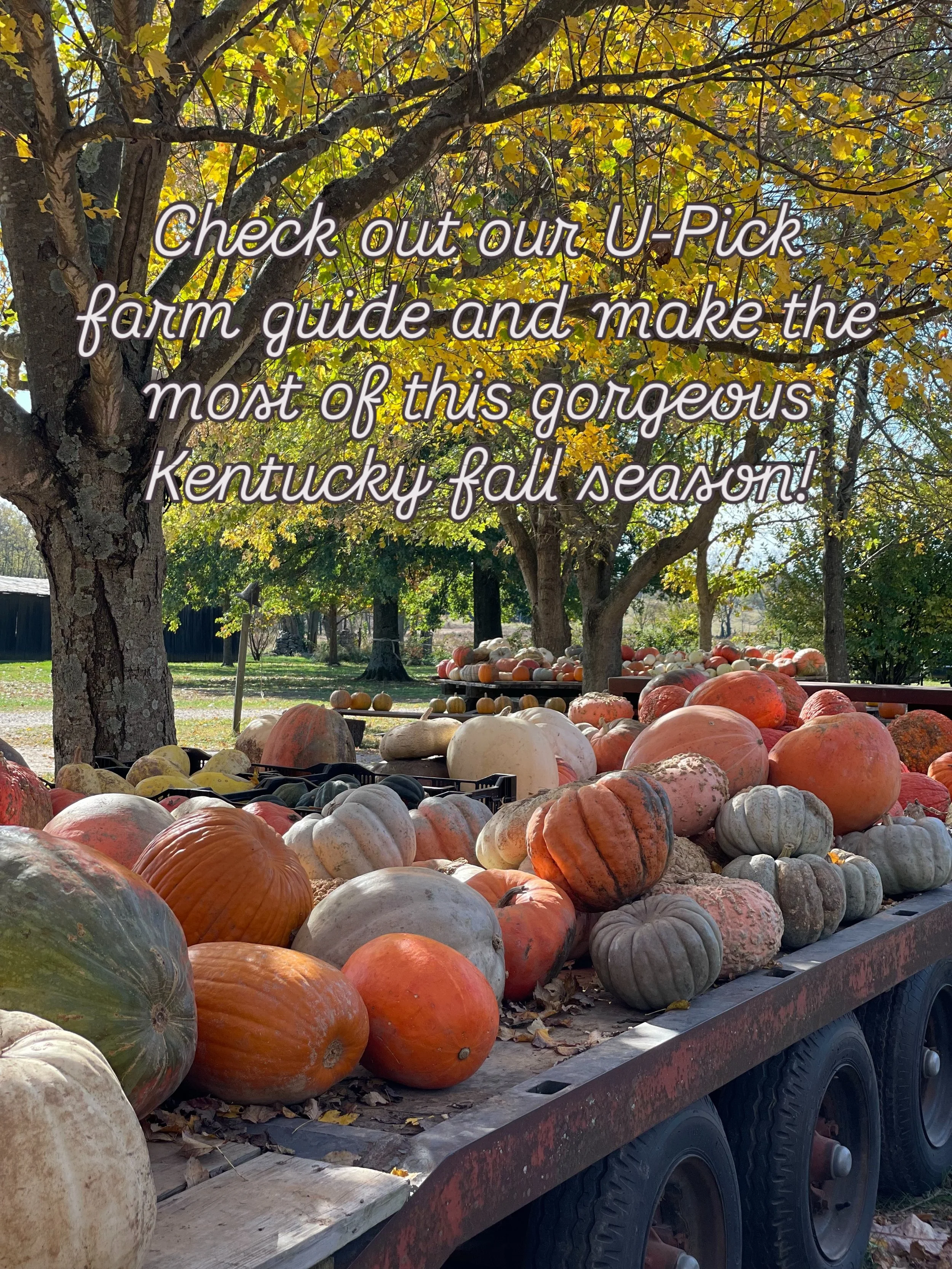 Looking for a perfect fall day trip? We&rsquo;ve rounded up some of our favorite spots for apple and pumpkin picking within about 90 minutes of Louisville!

Our new U-Pick Farm Guide makes it easy to get outside, enjoy the beautiful Kentucky fall sea