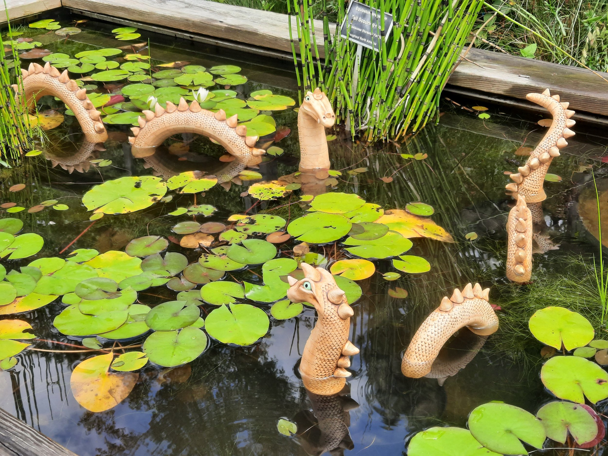 Session 3: Advanced Wheel: Garden Party, Tuesday Mornings