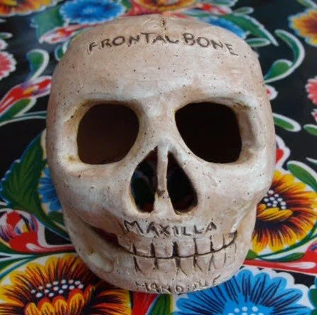 Session 6: The Next Step, Halloween Edition, Tuesday Evenings