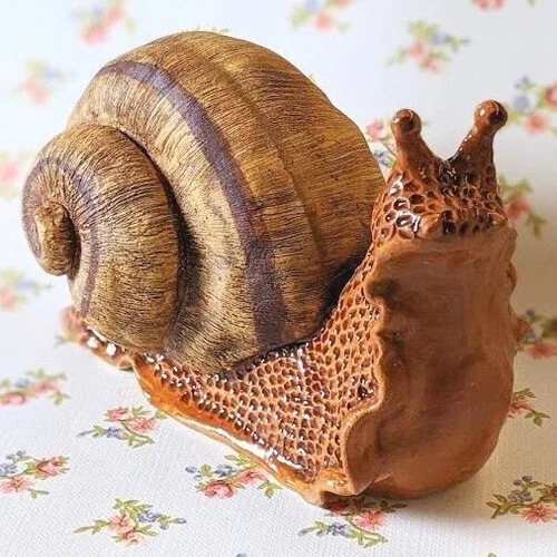 snail-1.jpg