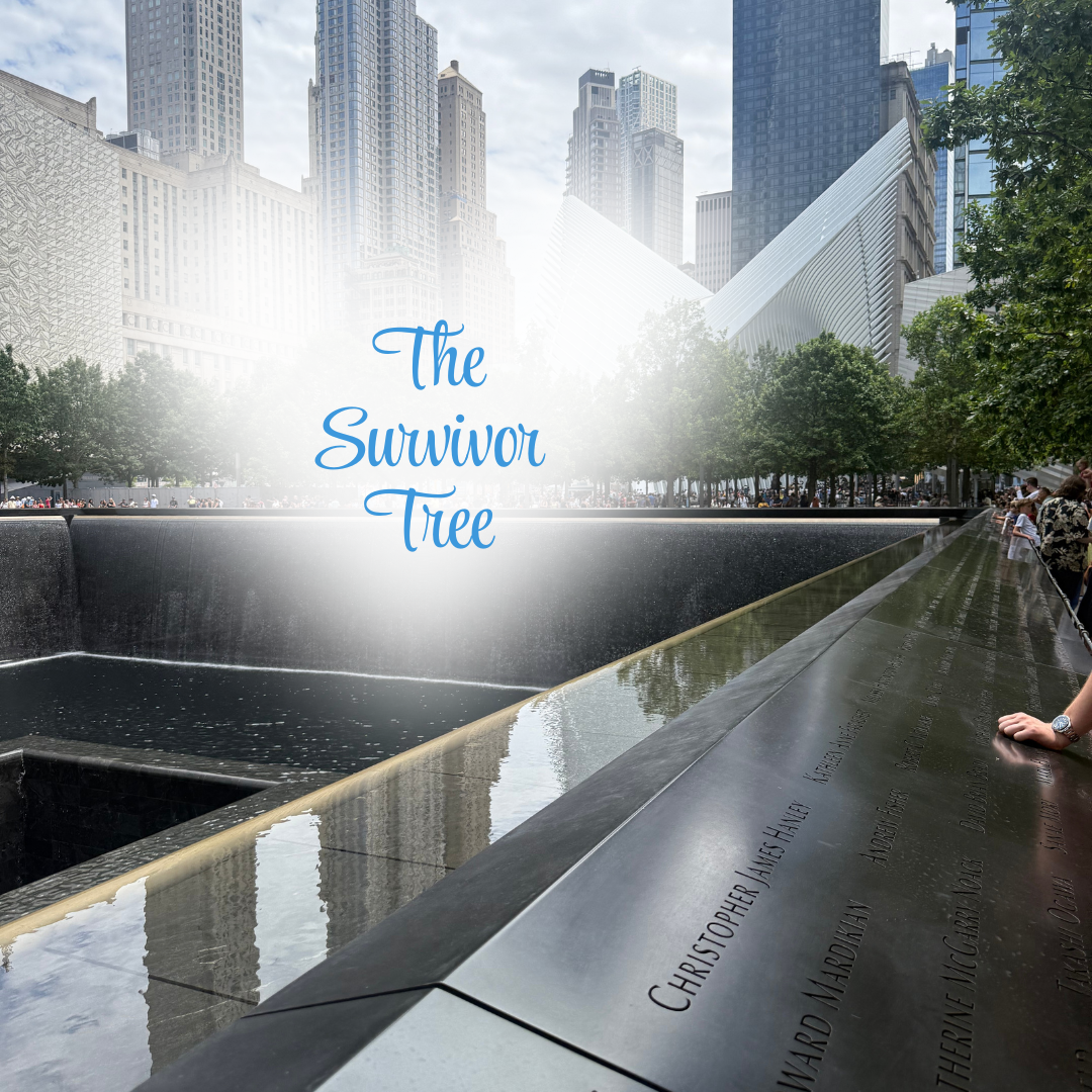 The Survivor Tree: A Living Symbol of Resilience & a Visit from Together at Peace