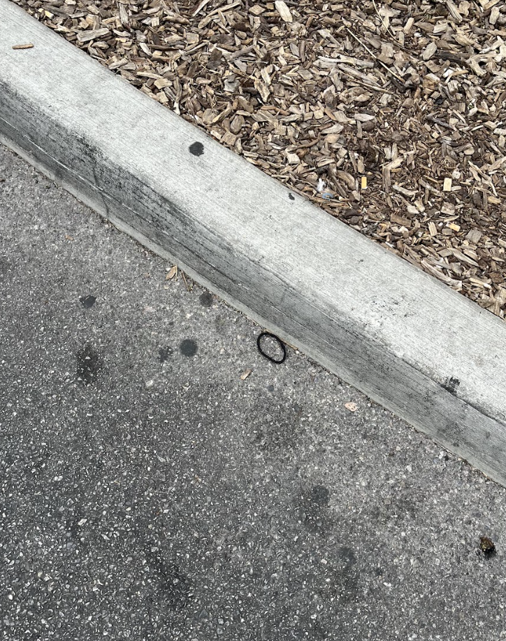 Screenshot 2026-03-23 at 10.36.16 AM.png