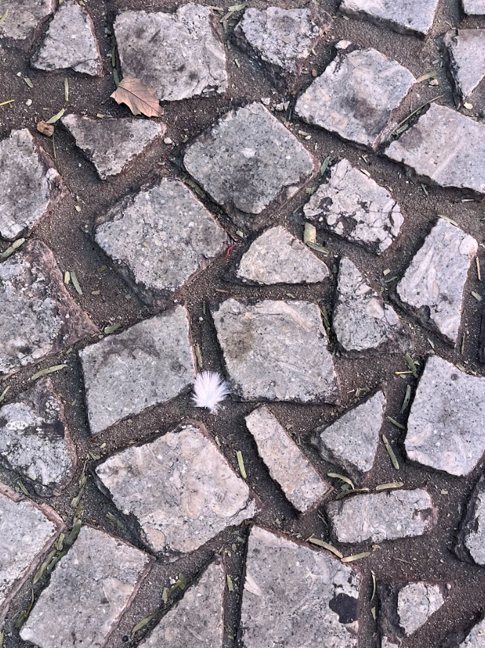 Screenshot 2026-03-23 at 10.36.25 AM.png