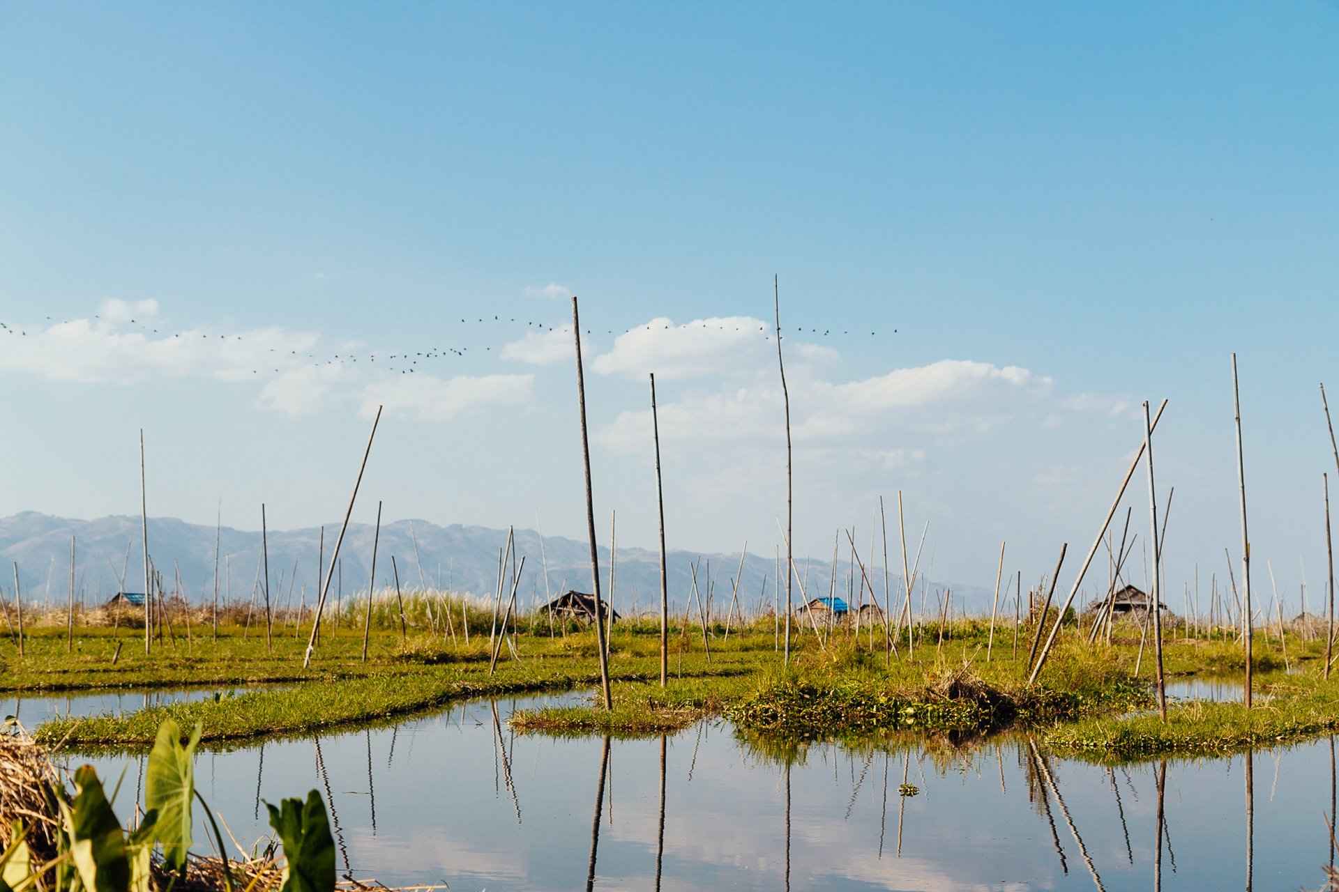 Myanmar Inle Lake IMG_1892.jpg