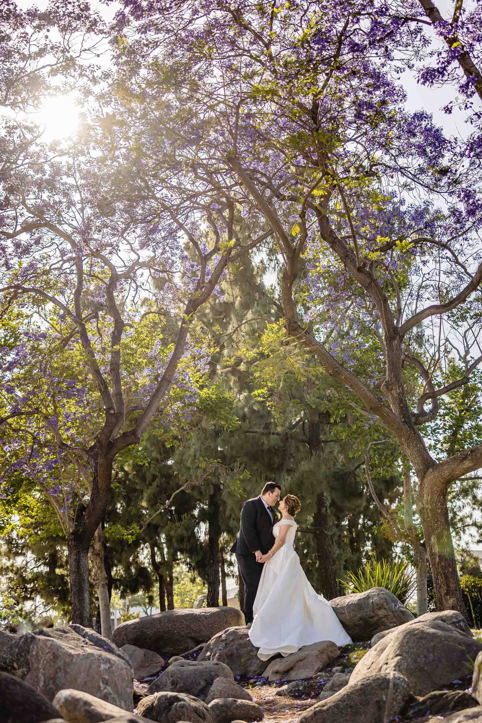 Artesia DES Wedding Photos -20.jpg
