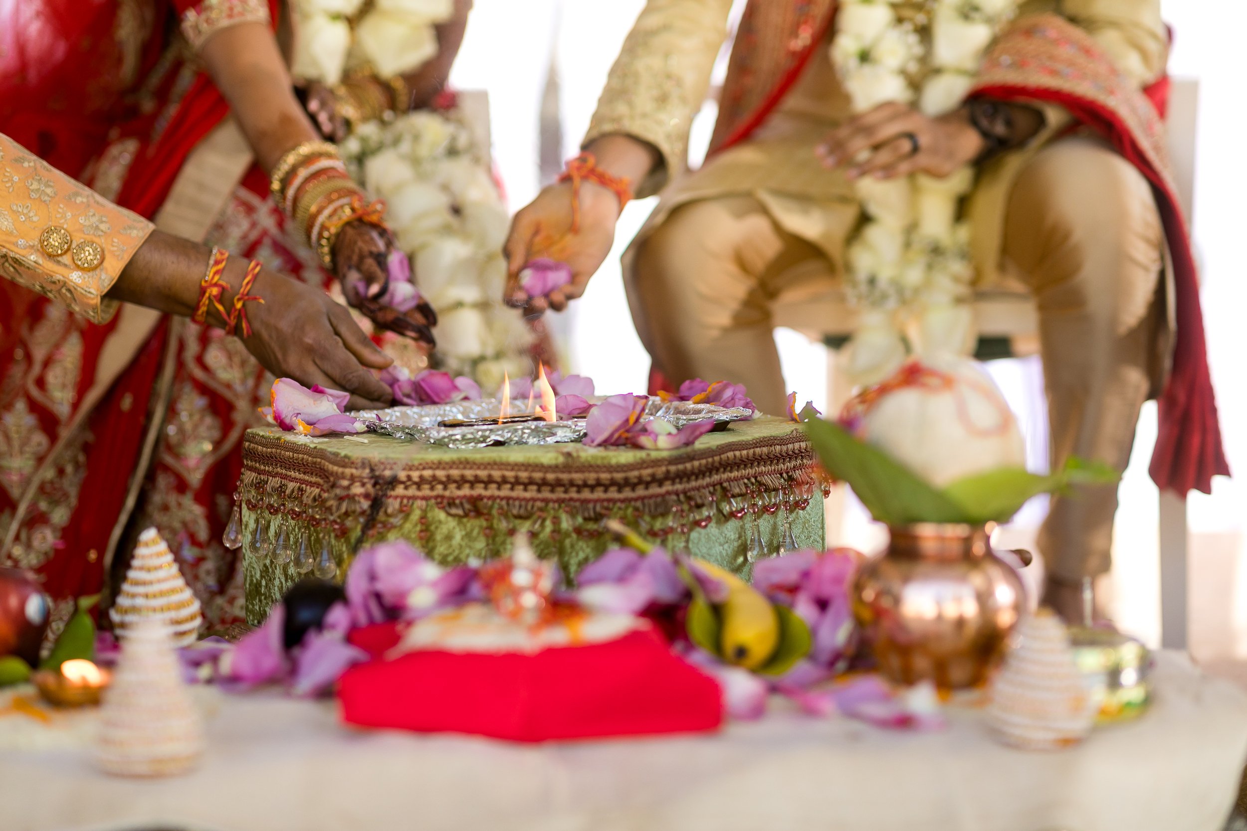 Turnip Rose Promenade Indian Wedding-62.jpg