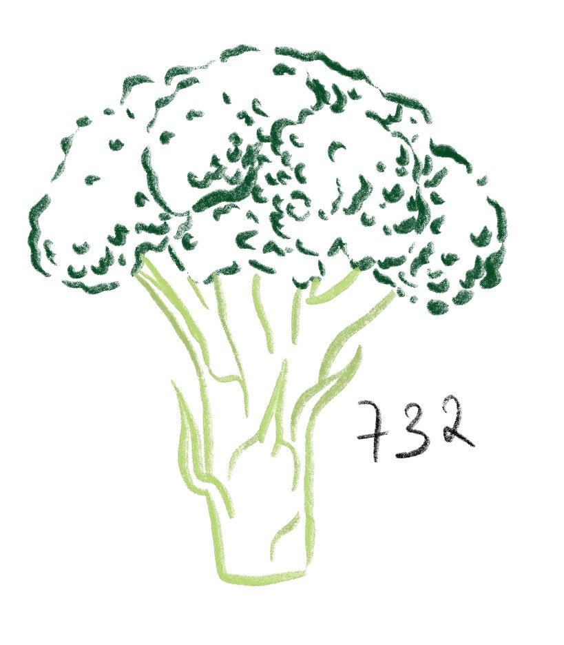 Ilustração_Sem_Título 15.jpg