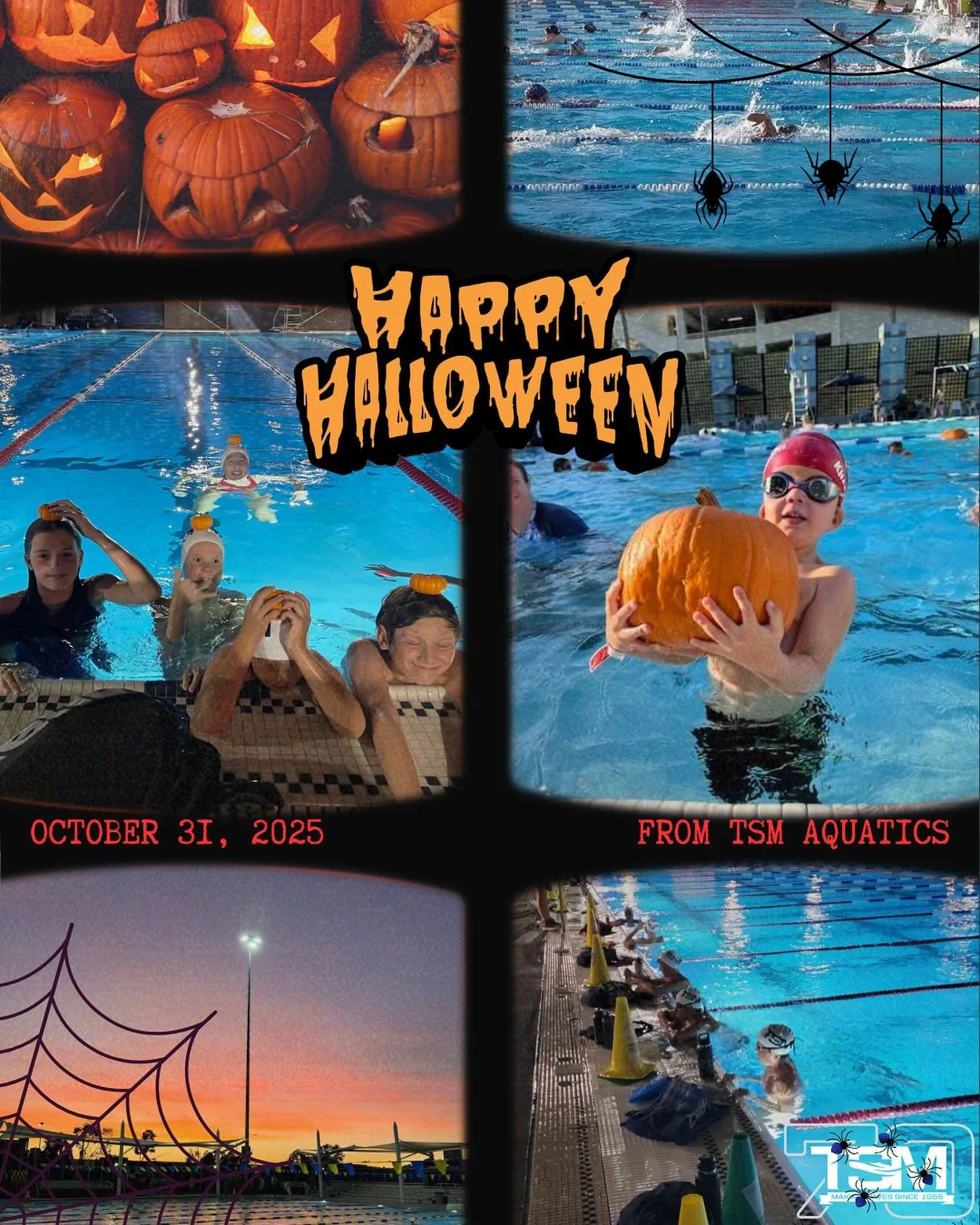 Wishing our swimmers and families a safe and spooky Halloween! 🧡💙 #TSMAquatics #TSMPride #SantaMonica #happyhalloween 🎃👻🕷️