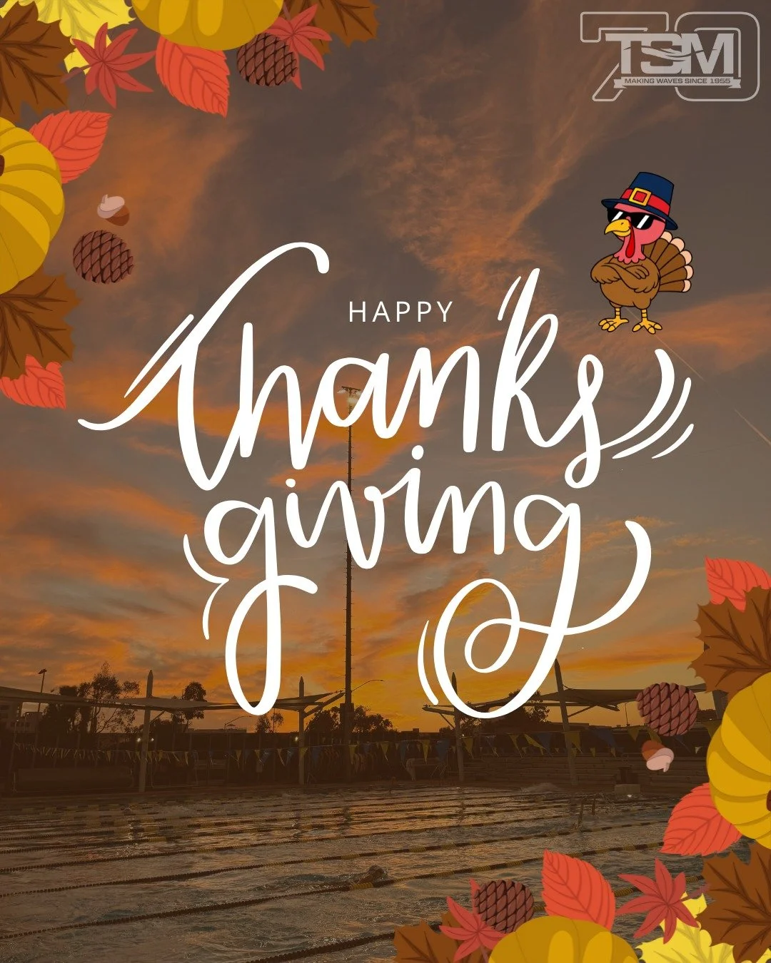 Grateful for the entire TSM community: the swimmers who work hard, the families who support them, and the coaches who give their all. Happy Thanksgiving! 🦃💙🍁
#Thankful #SantaMonicaSwimming #USASwimming #TSM70 #YouthSwimming