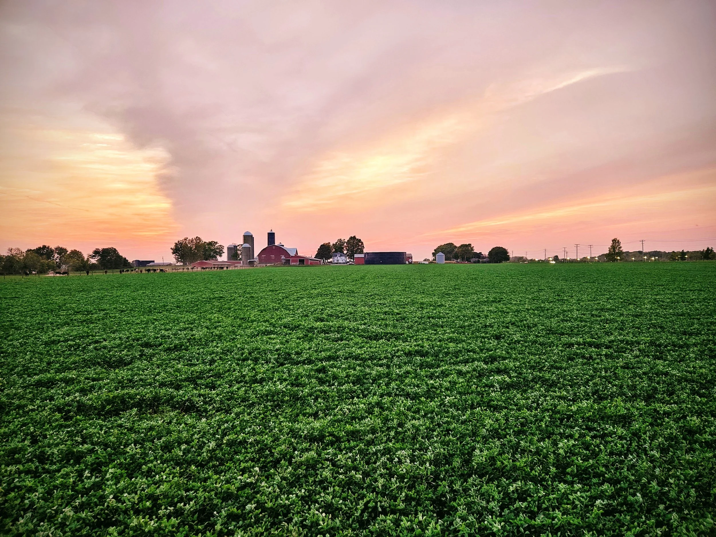 Farming and Fun