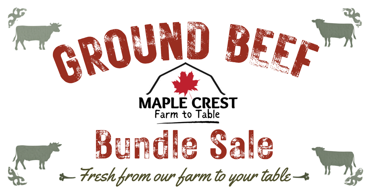 Ground beef bundle