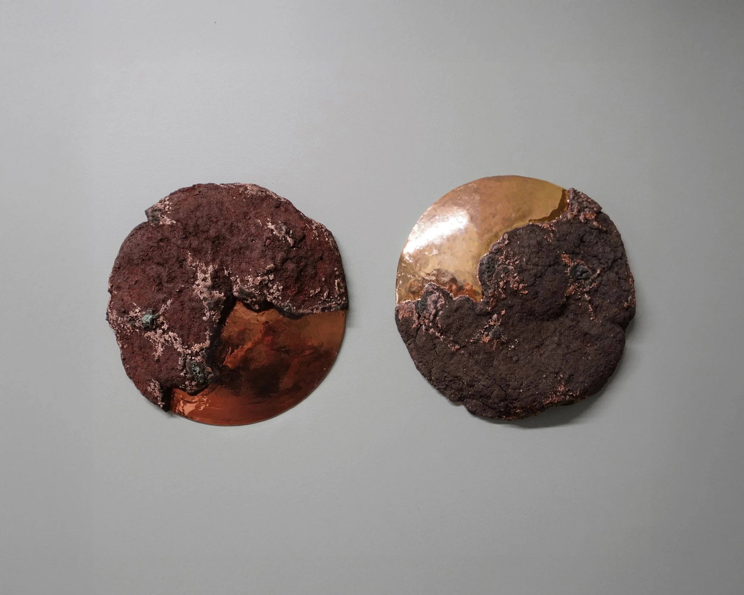 Mire Disc Diptych.jpg