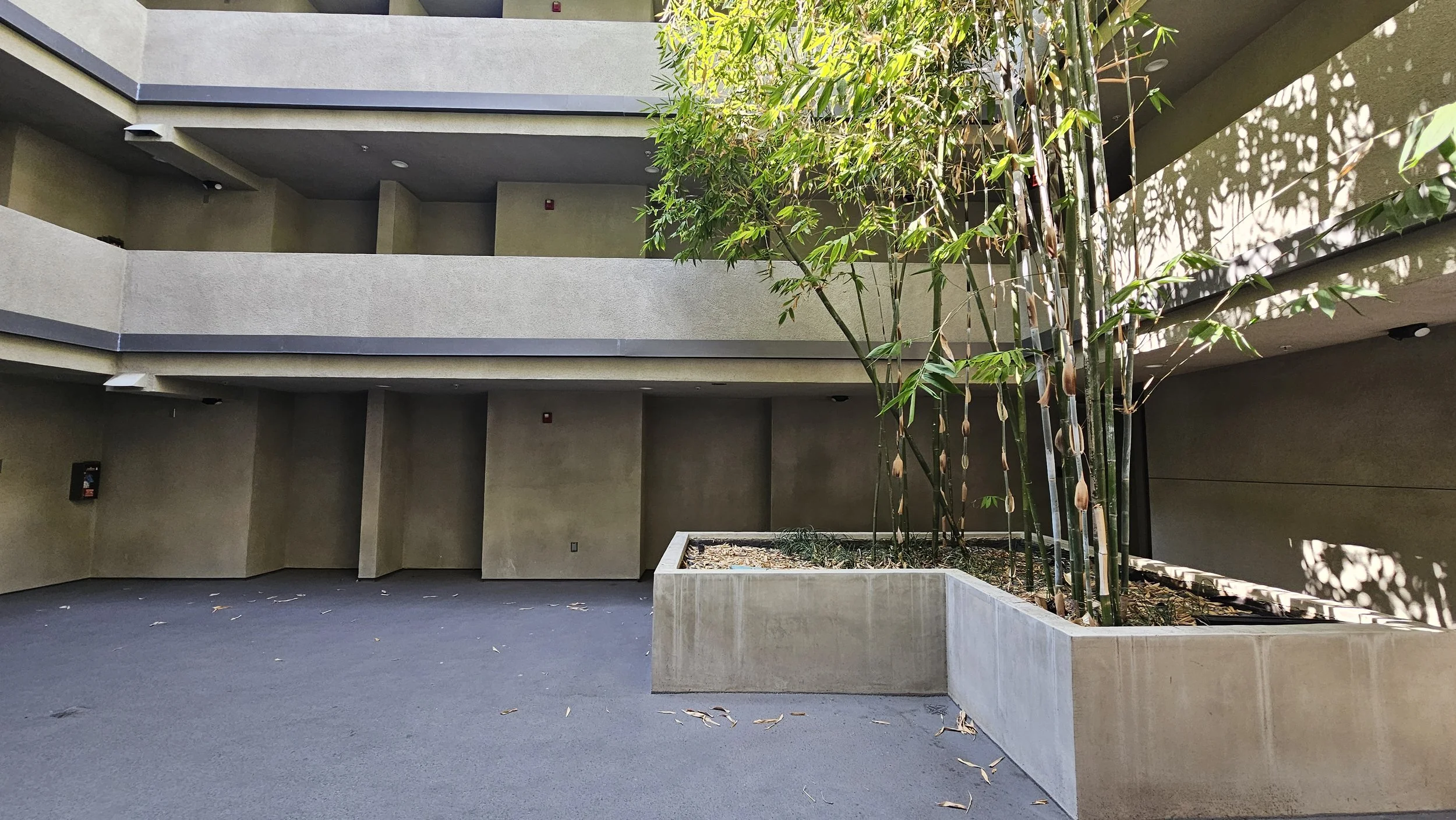 2024-08-23 15.25.54.jpg