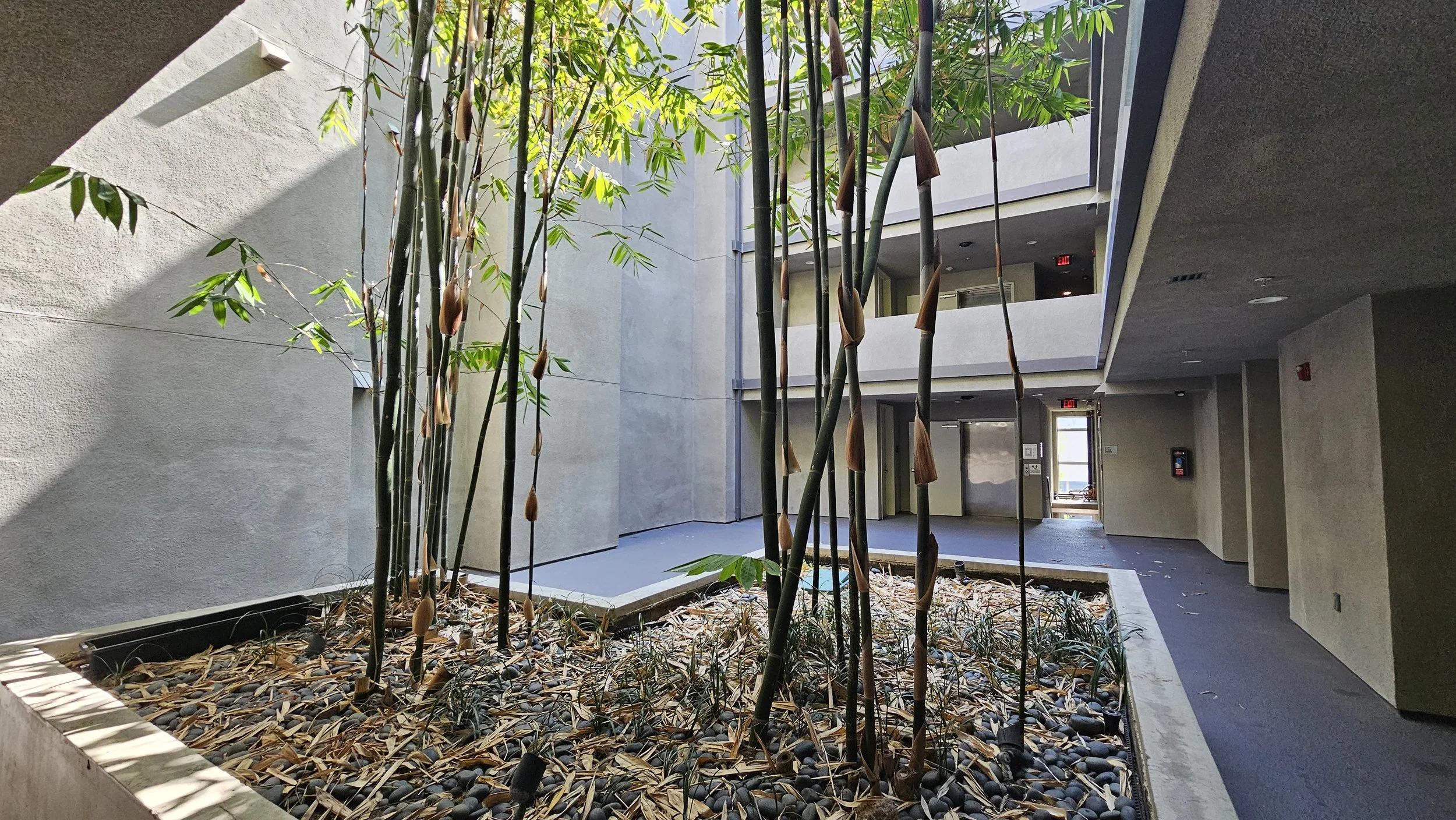 2024-08-23 15.25.13.jpg