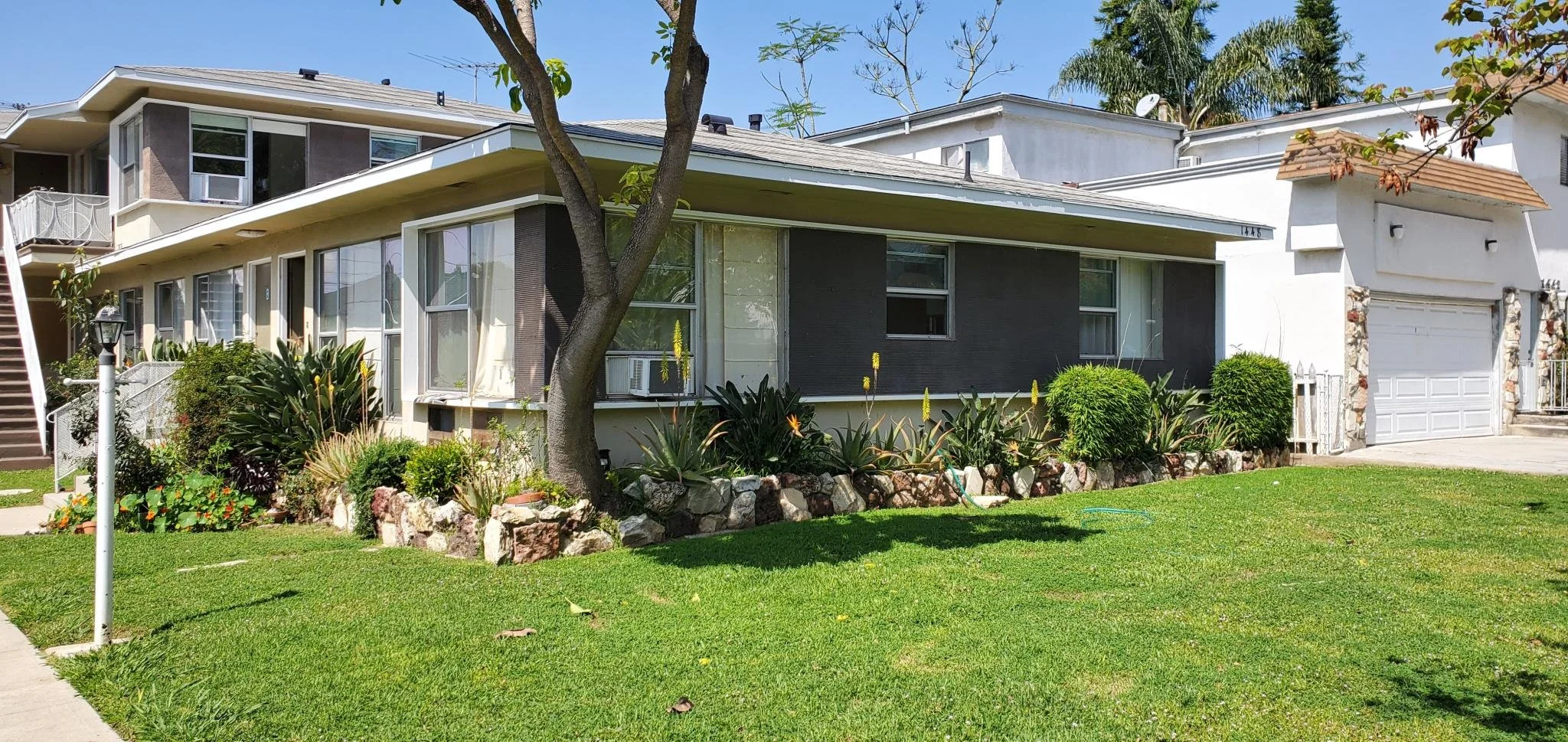 1448-stanford-d- (11).jpg