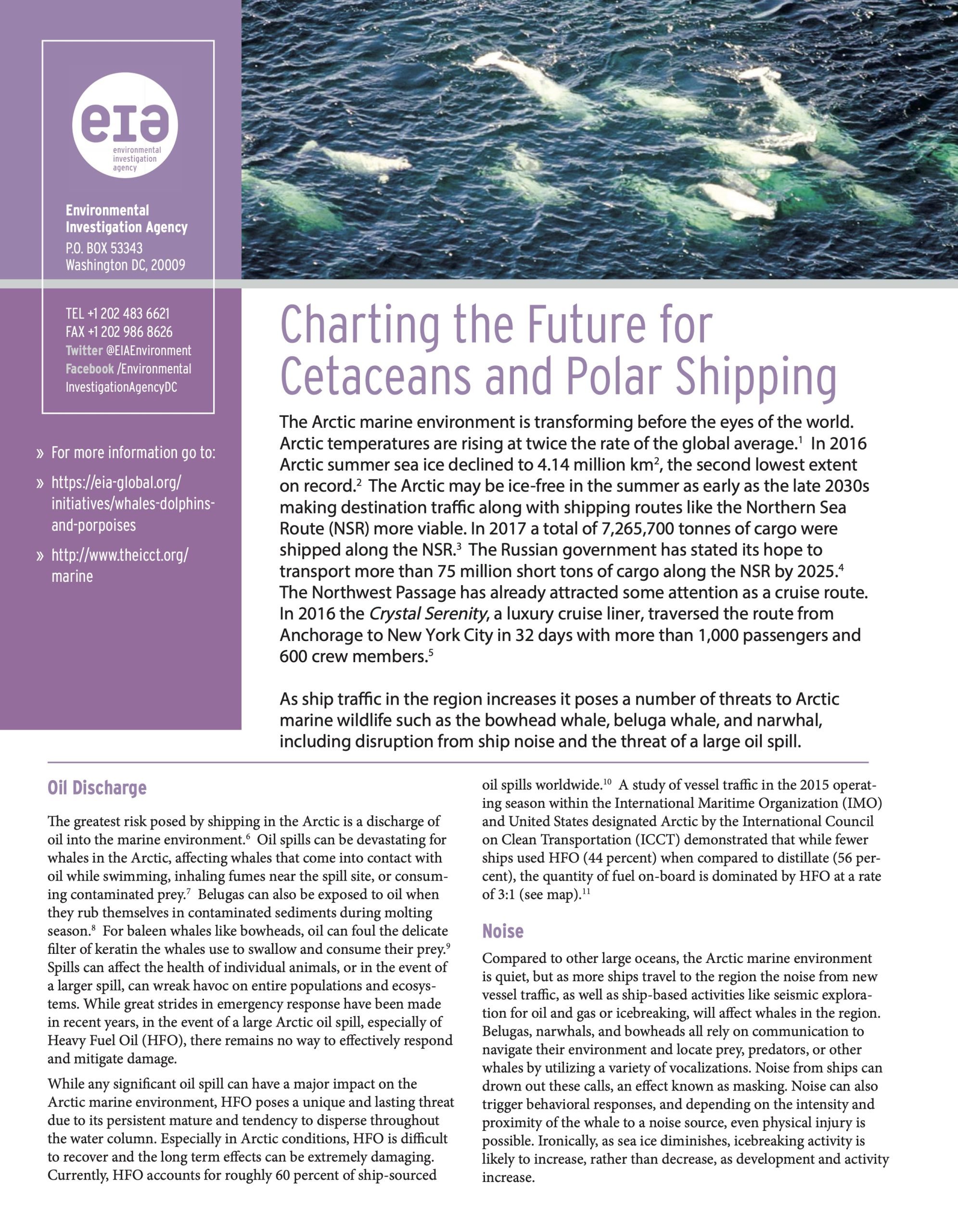 Charting the Future for Cetaceans and Polar Shipping