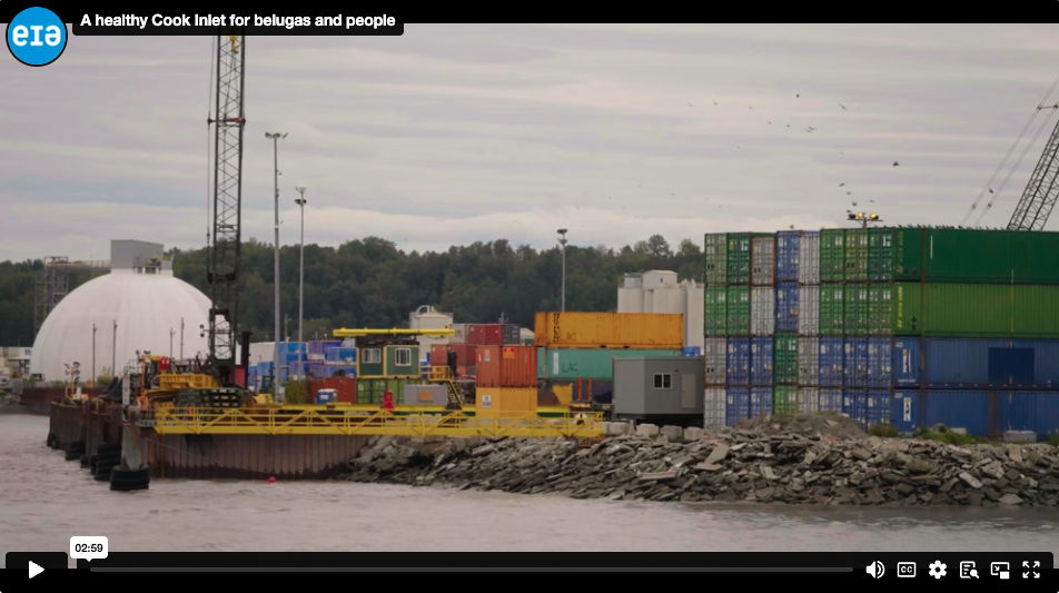 A Healthy Cook Inlet for Belugas and People