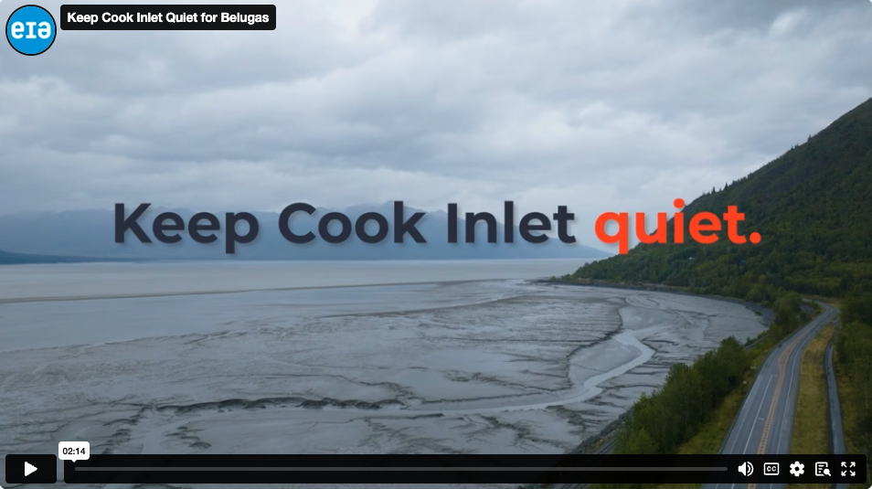 Keep Cook Inlet Quiet for Belugas