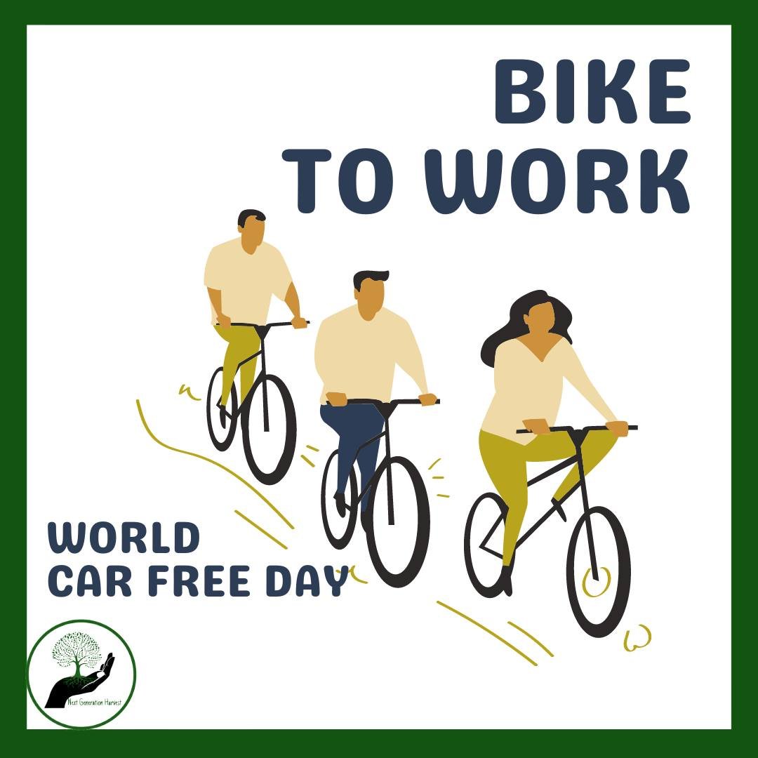 Bike to Work Day is an annual event that promotes the bicycle as an option for commuting to work (bicycle commuting). It is held in the Spring in a variety of locations including the United States, Canada, Europe and Asia.

Make Today a Car Free Day!
