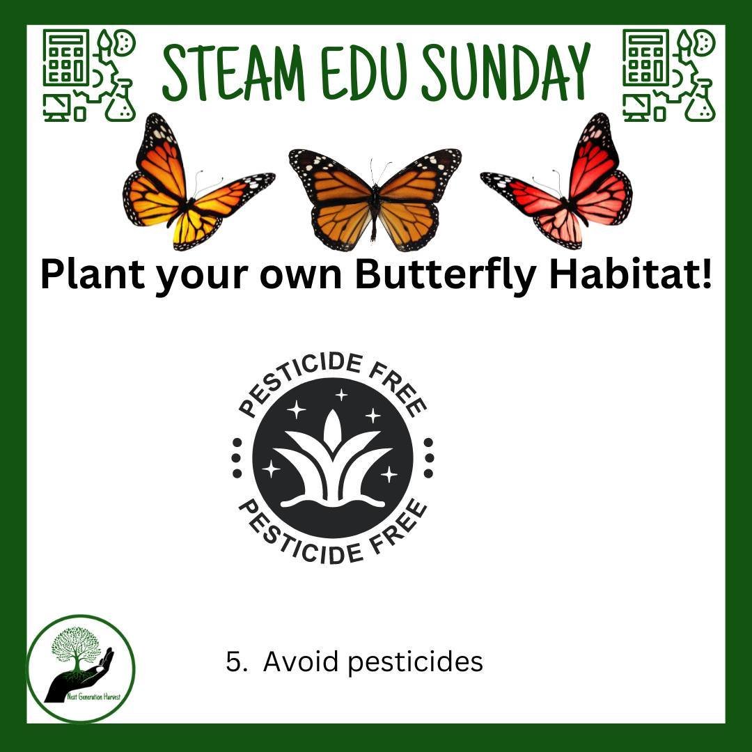 STEAM Sunday

When creating your own Butterfly garden - avoid using any pesticides - make it a pesticide free zone! 

#Nextgenerationharvest, #nextgenharvest, #agtech,#3DModelofSustainability, #growinghydroponically, #urbanfarmingforeducation, #foods