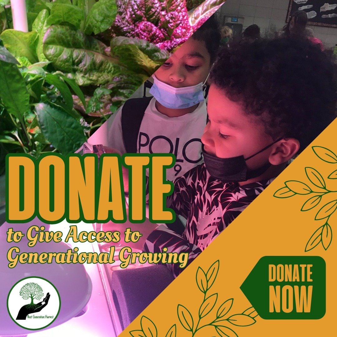We are Next Generation Harvest Foundation!

Our goal is to bring hydroponics systems to every classroom in order to teach STEM Education with hands on activities as well as give access to food sustainability. Any donation will allow us to be one step