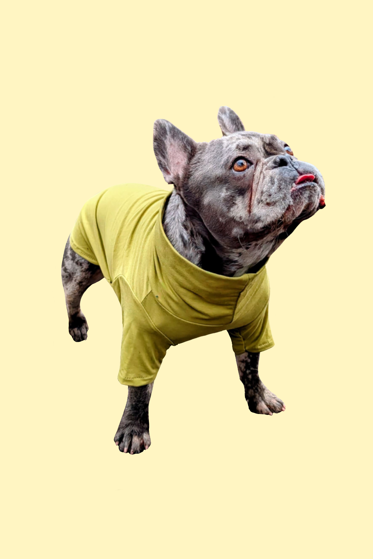 The Bulldog Bamboo base layer- Made-to-Order Bamboo Top for Bulldogs