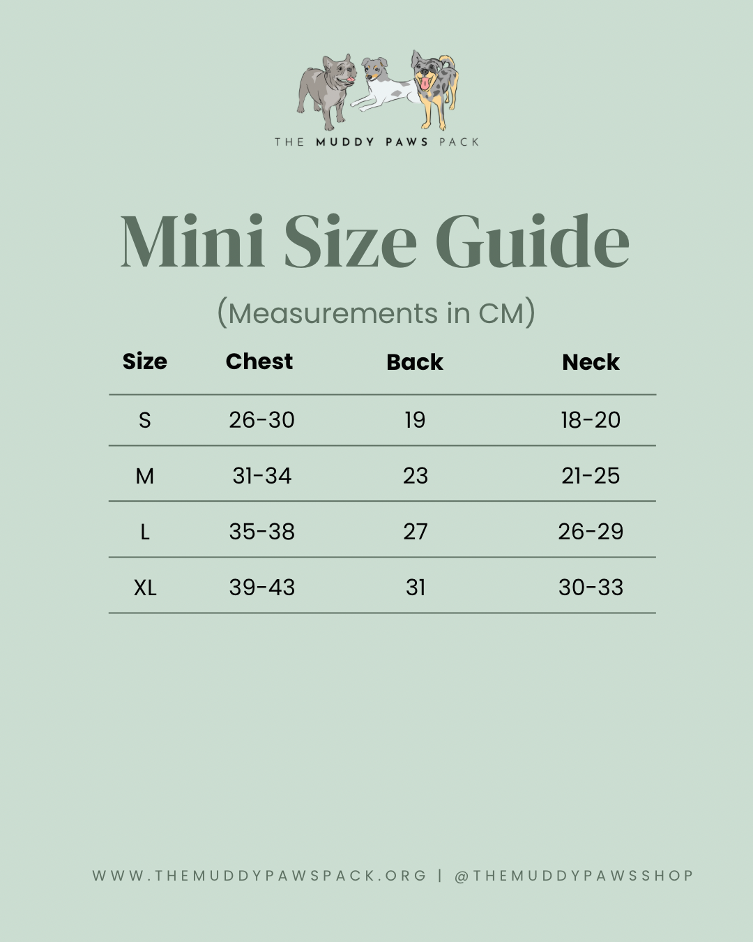 (Measurements in CM) - 6.png