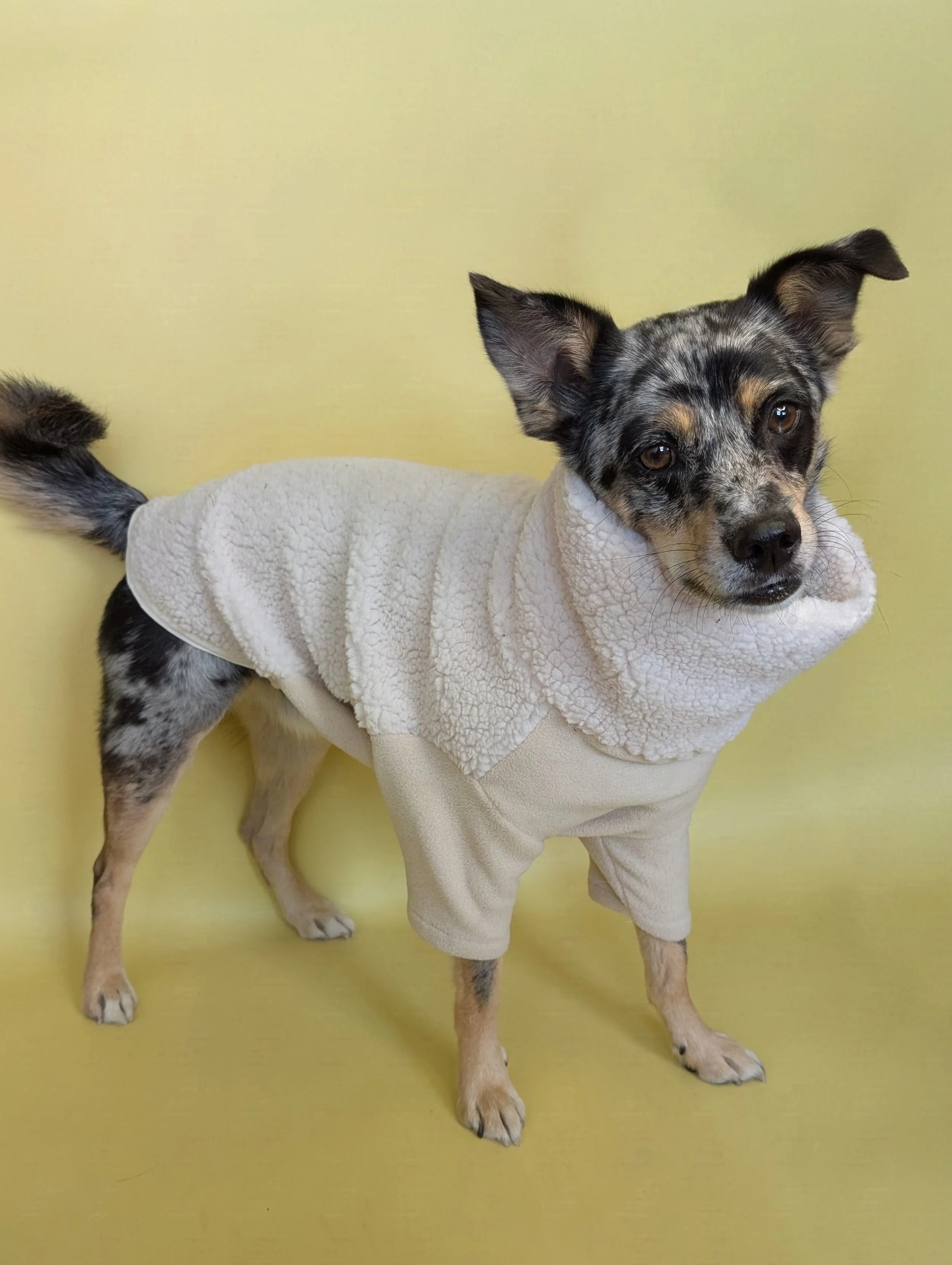 Classic Sherpa Dog Jumper | Ultra Soft & Warm | Cosy Winter Dog Fleece | Available in 6 Colours