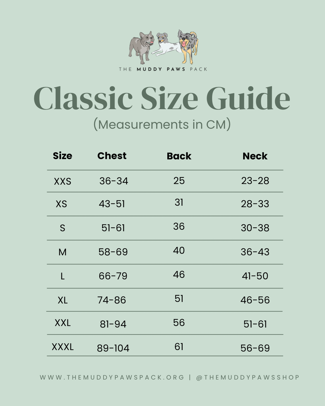 (Measurements in CM) - 1.png