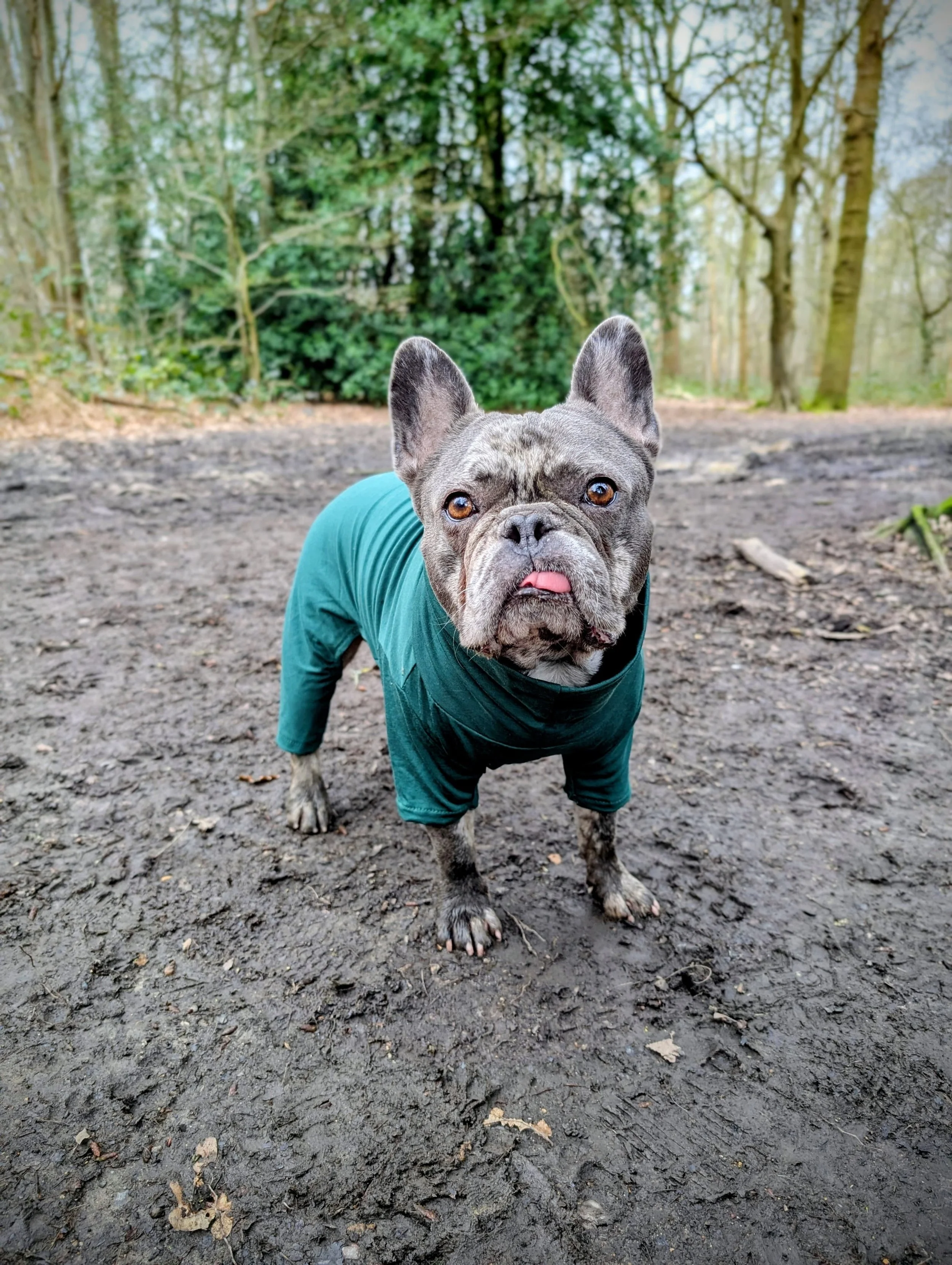 The Bulldog Bamboo base layer- Made-to-Order Bamboo Top for Bulldogs