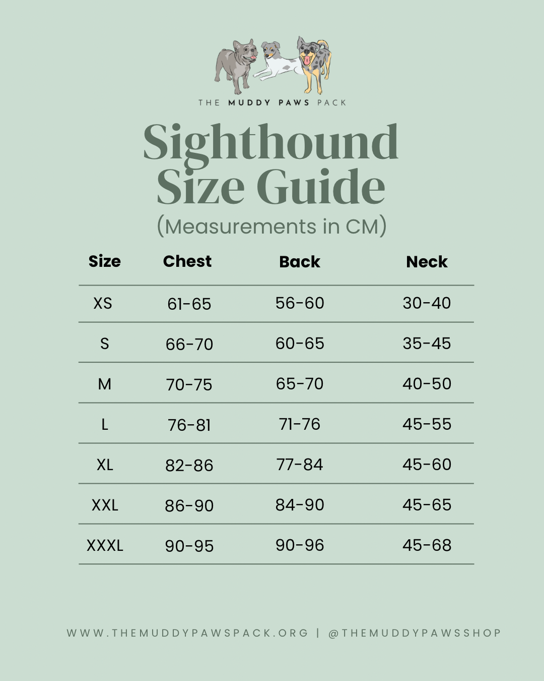 (Measurements in CM) - 2.png