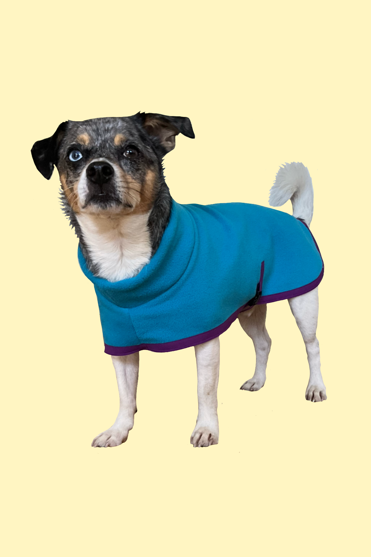 🐾 The pullover Fleece, Classic style