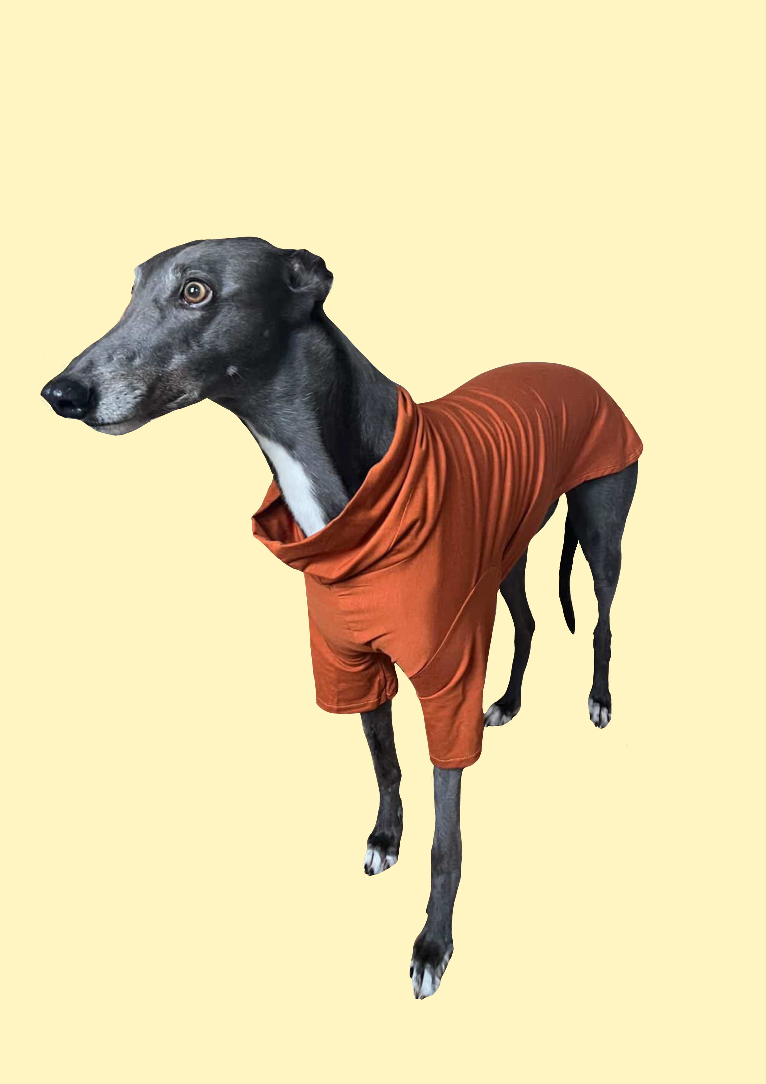 The Sighthound Bamboo base layer – Designed for the Sighthound Silhouette