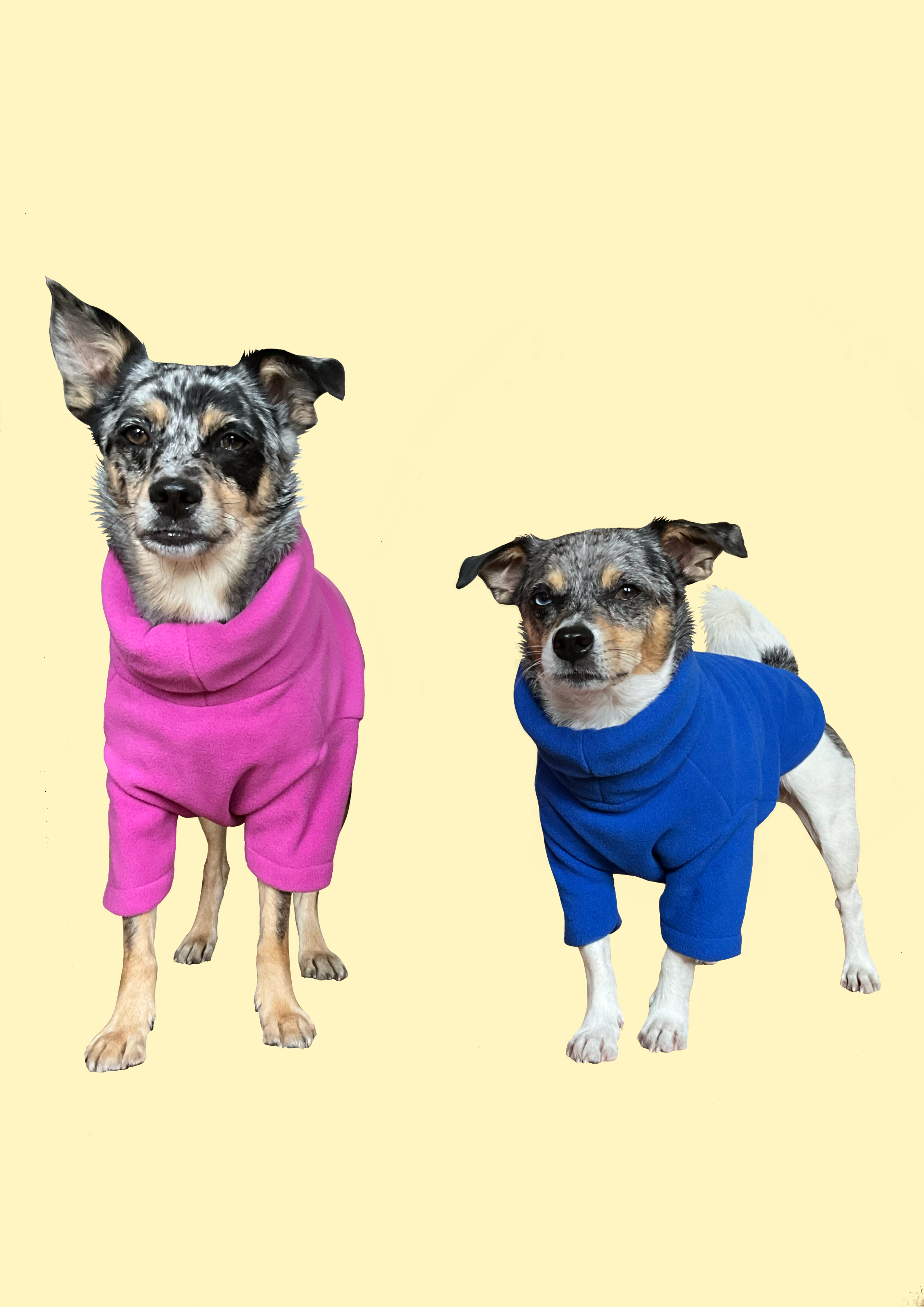🐾 The Classic Fleece – Water-Resistant, Warm & Easy-Clean Dog Jumper