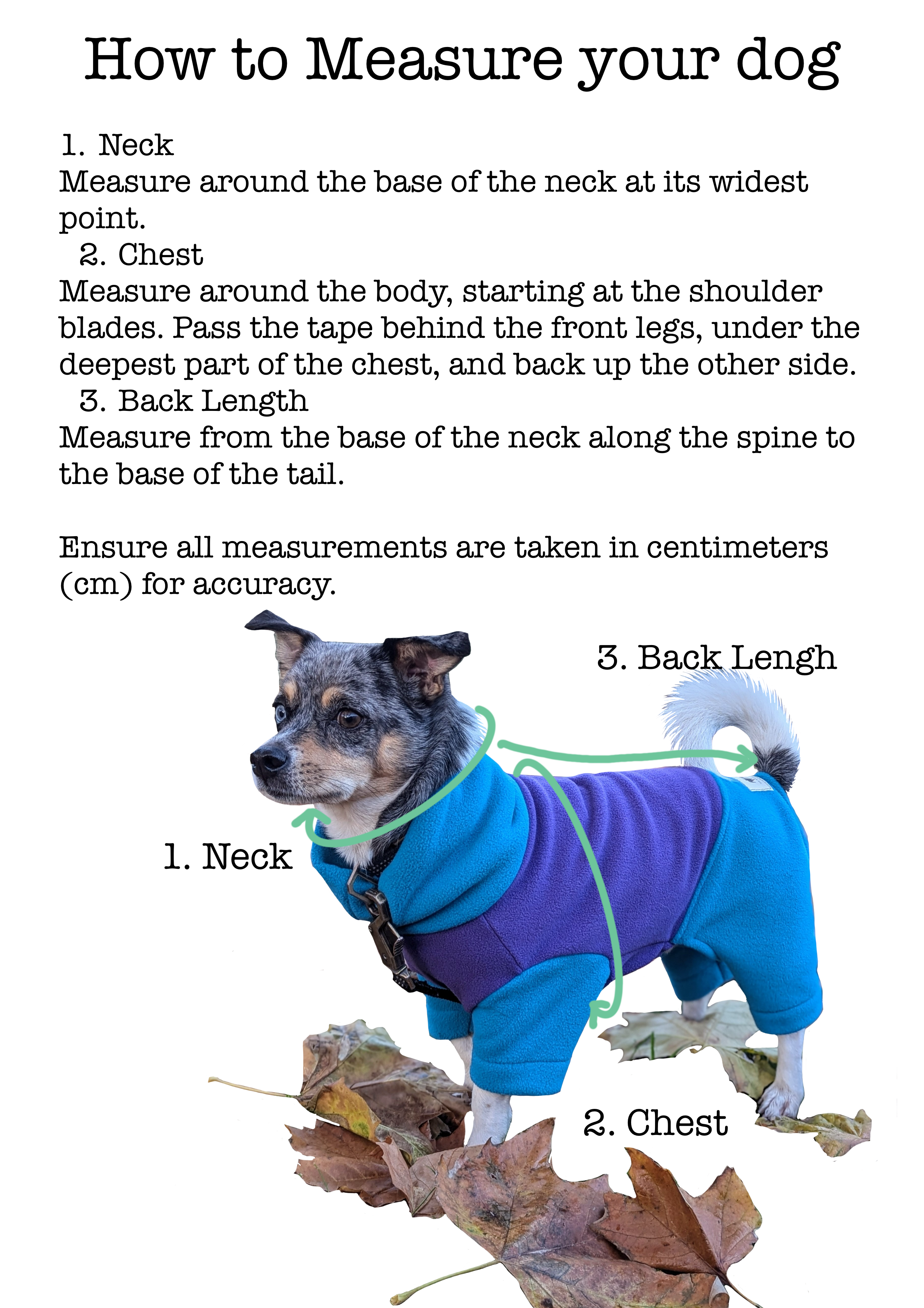 IMG_0773.png