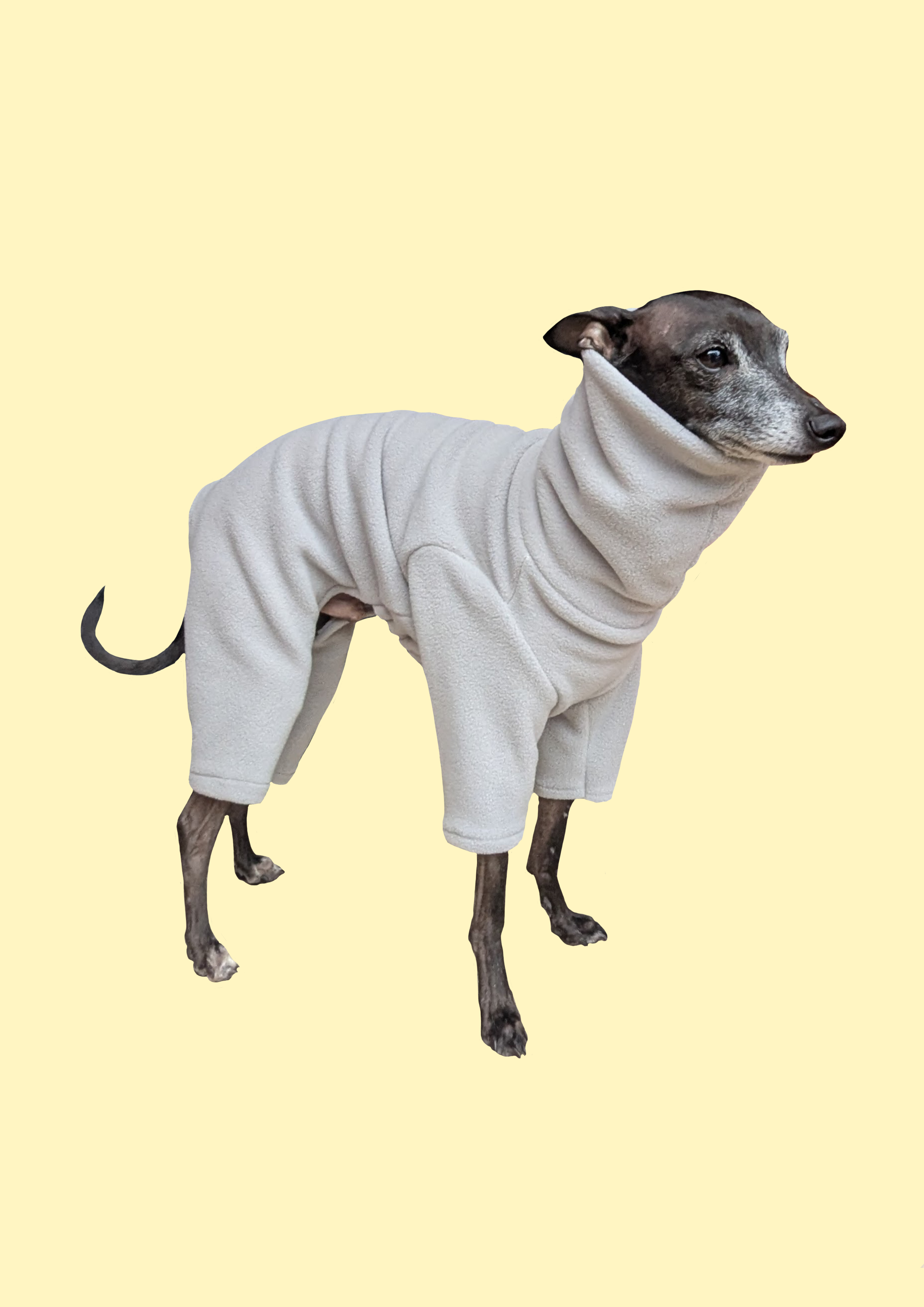 🐾 The Iggy Onesie – Fleece Onesie Designed for Italian Greyhounds