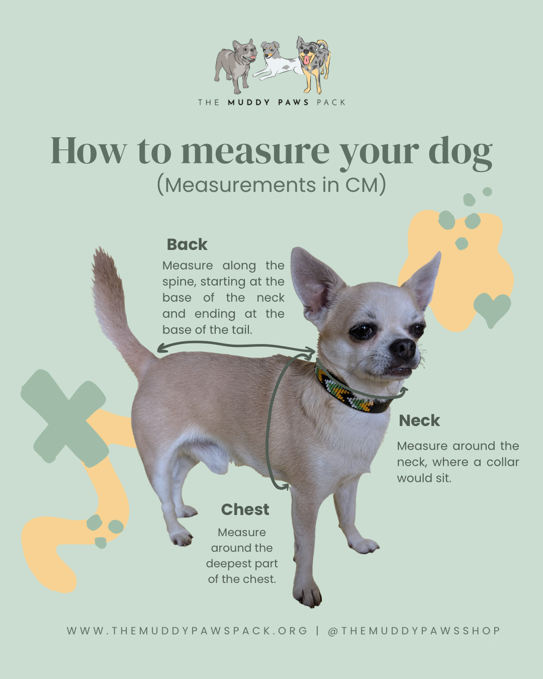 (Measurements in CM) - 7.png