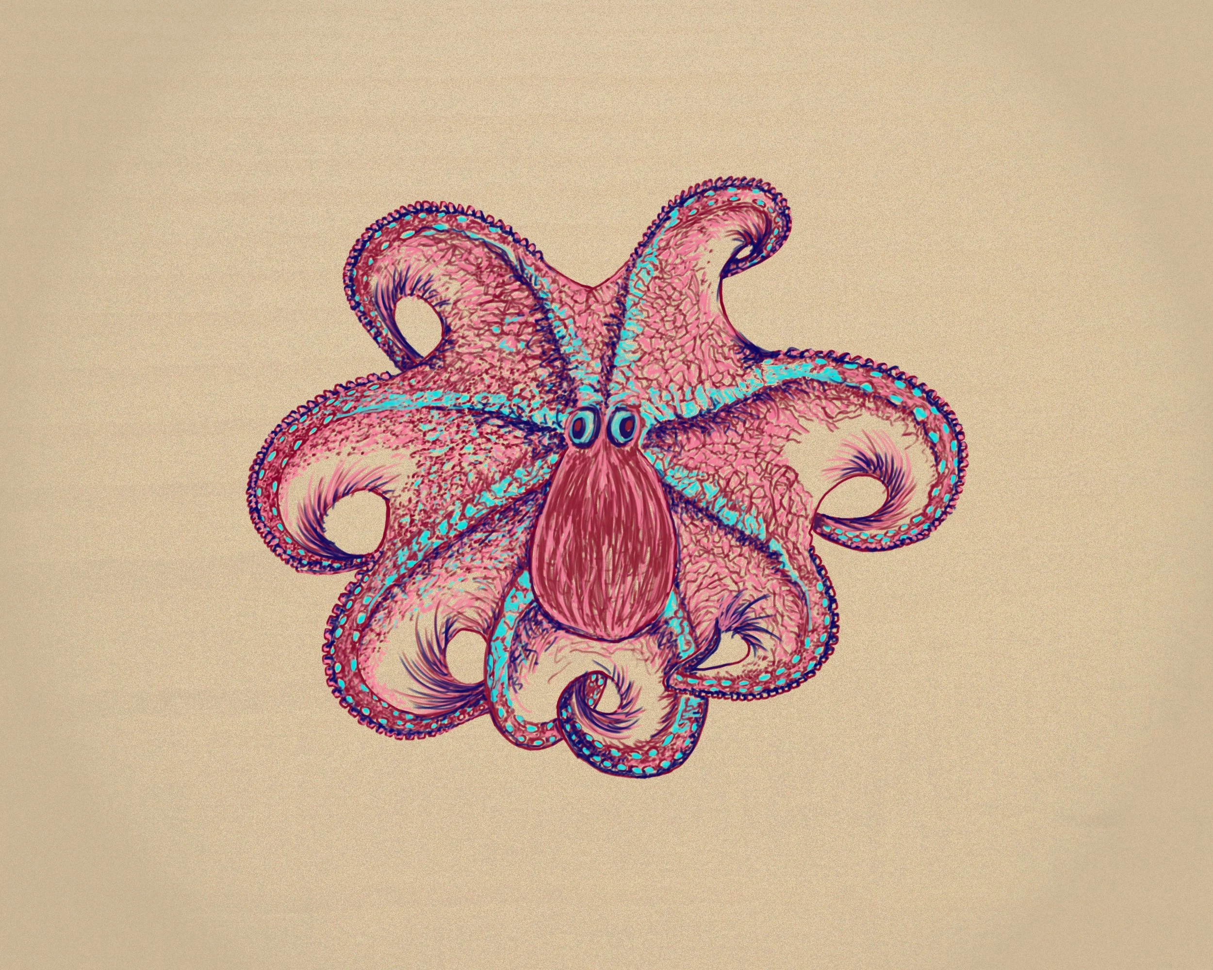 PULPA.PIELB.09.o.jpg