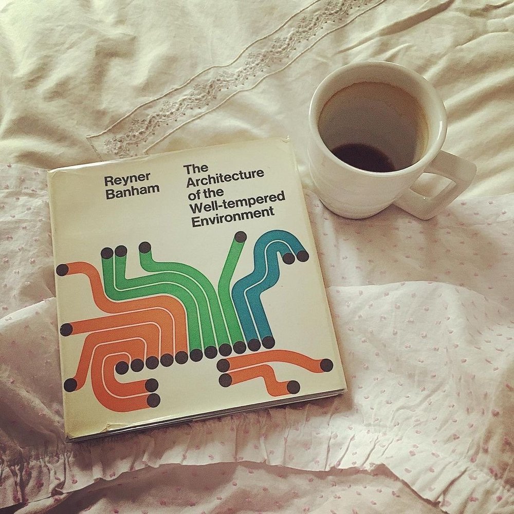 1ST ED] The Architecture of the Well-tempered Environment