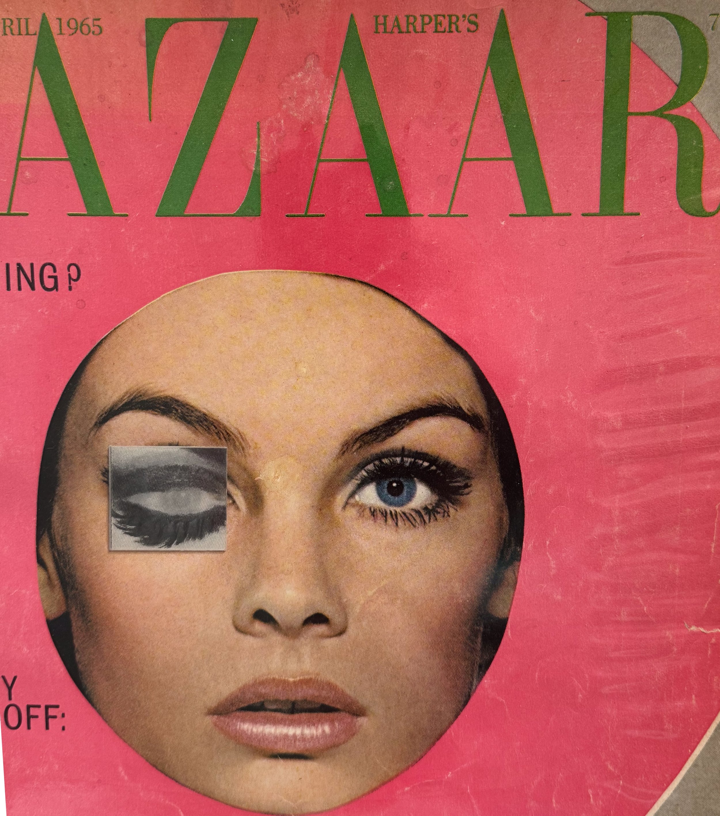 IMG_5467.jpg