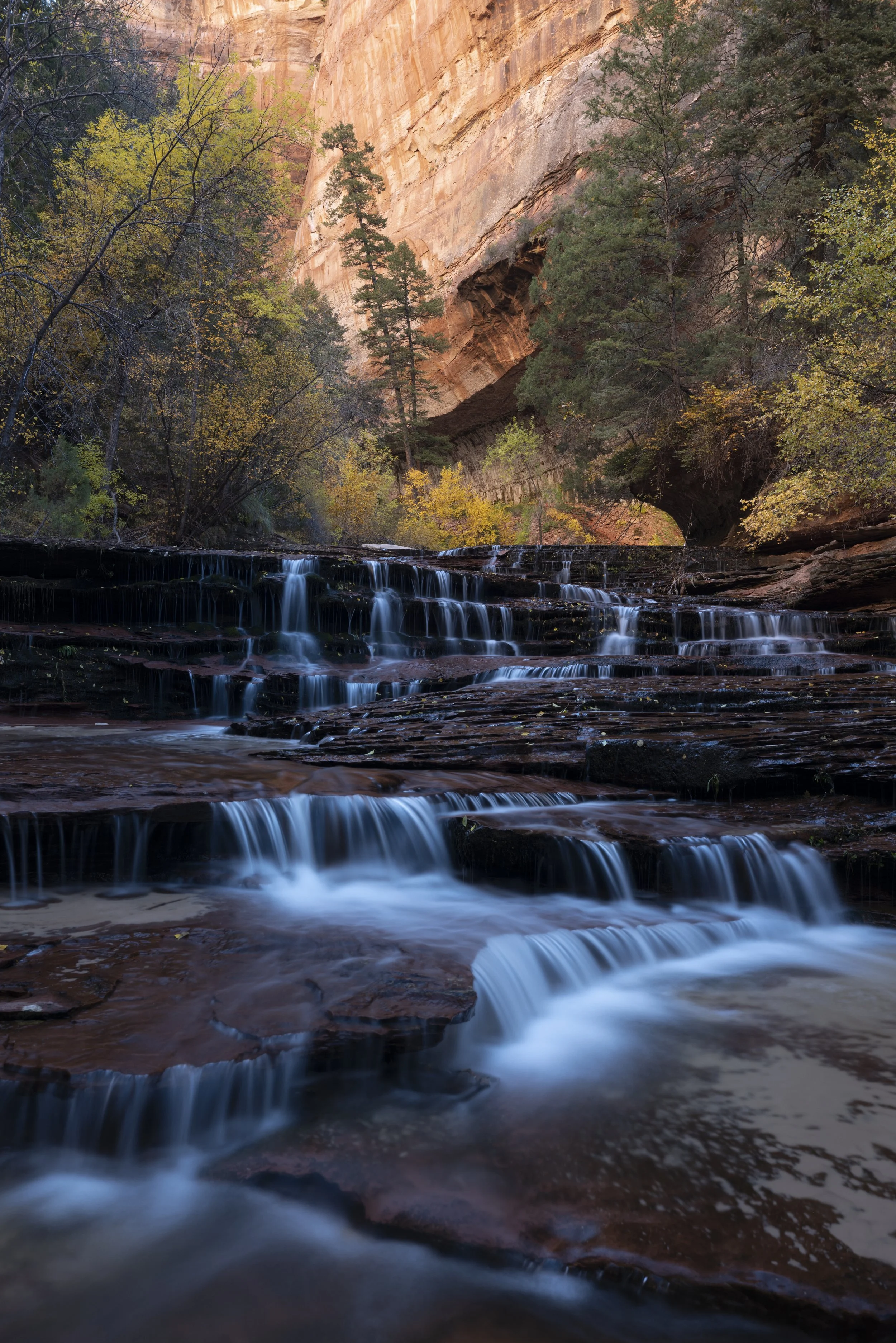 Zion_-.jpg
