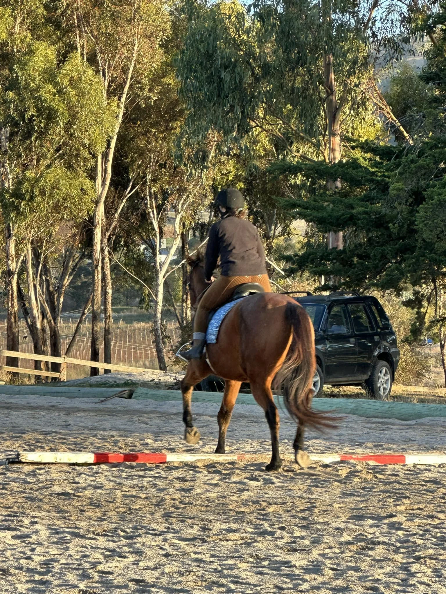 Adult Riders — Hobart Horseplay