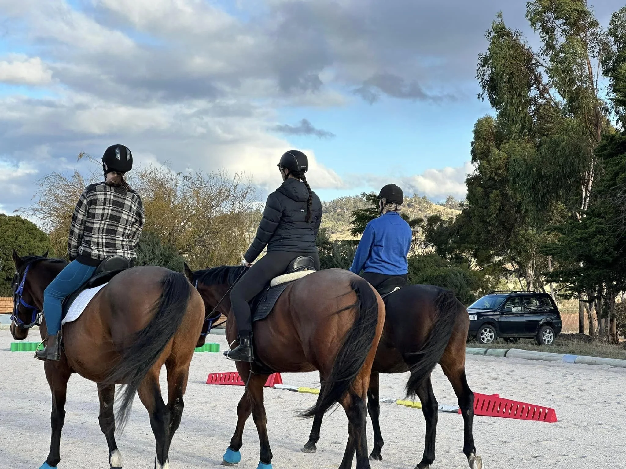 Adult Riders — Hobart Horseplay