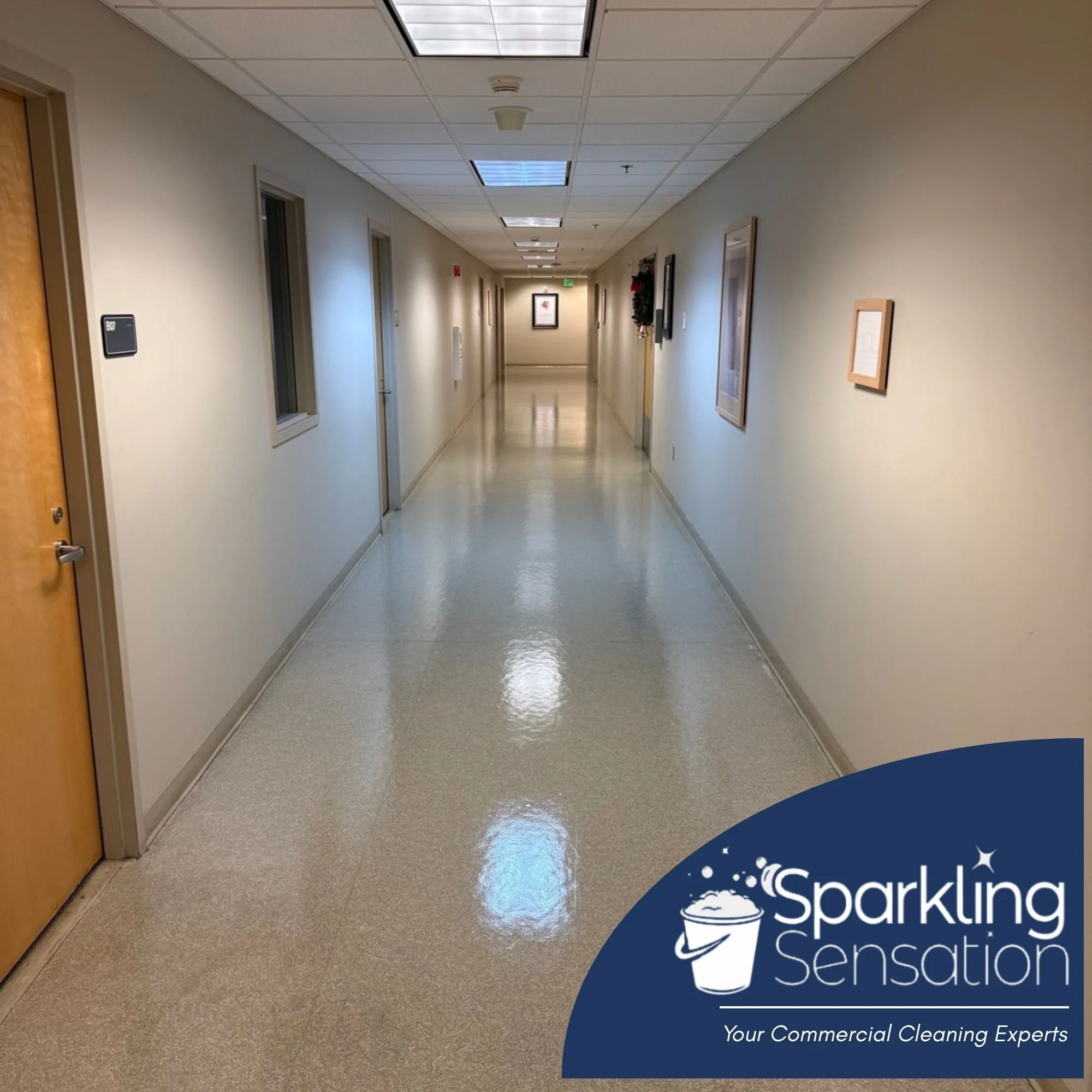 What to Expect When Hiring a Tri Cities Janitorial Company