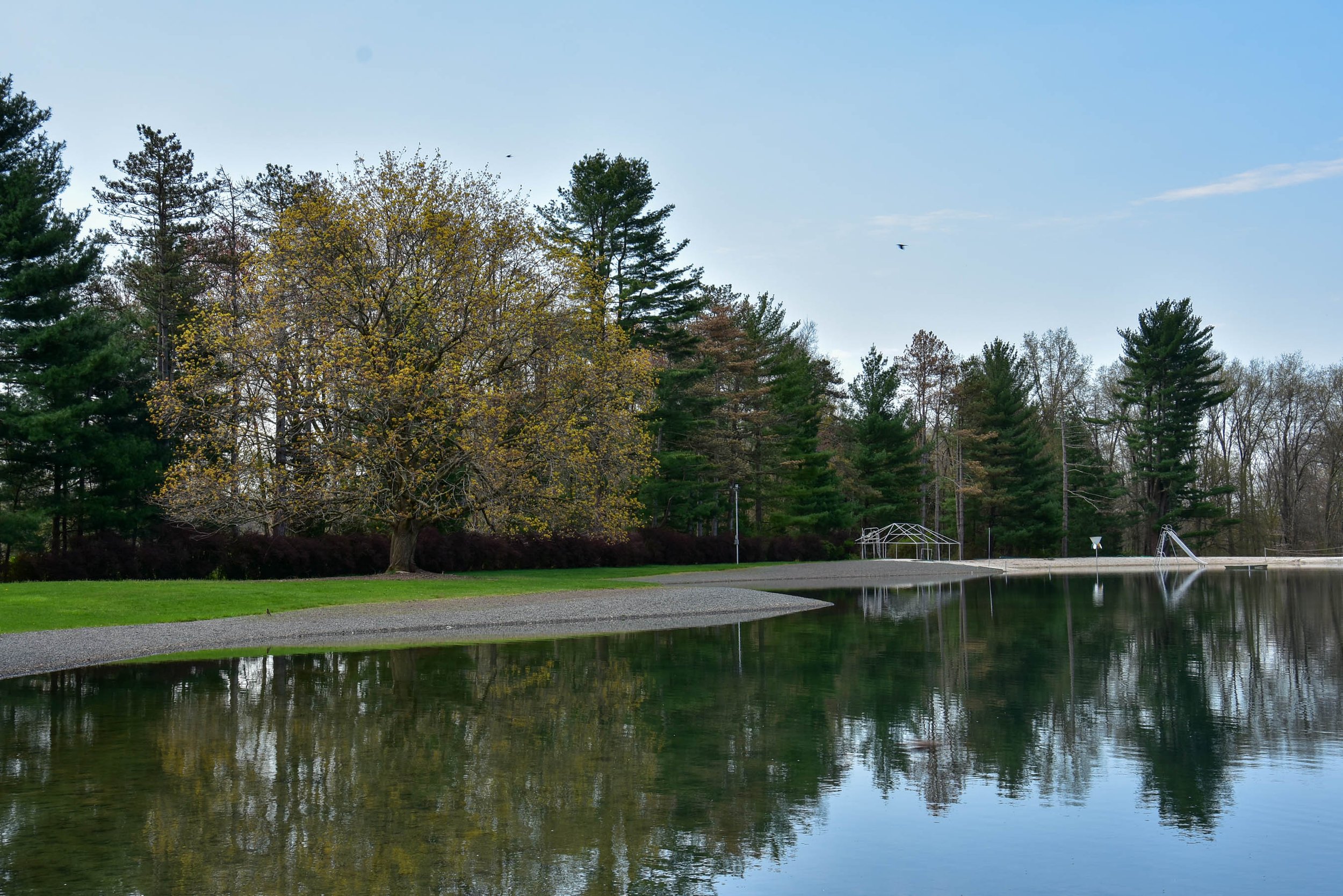 DSC_5499.jpg