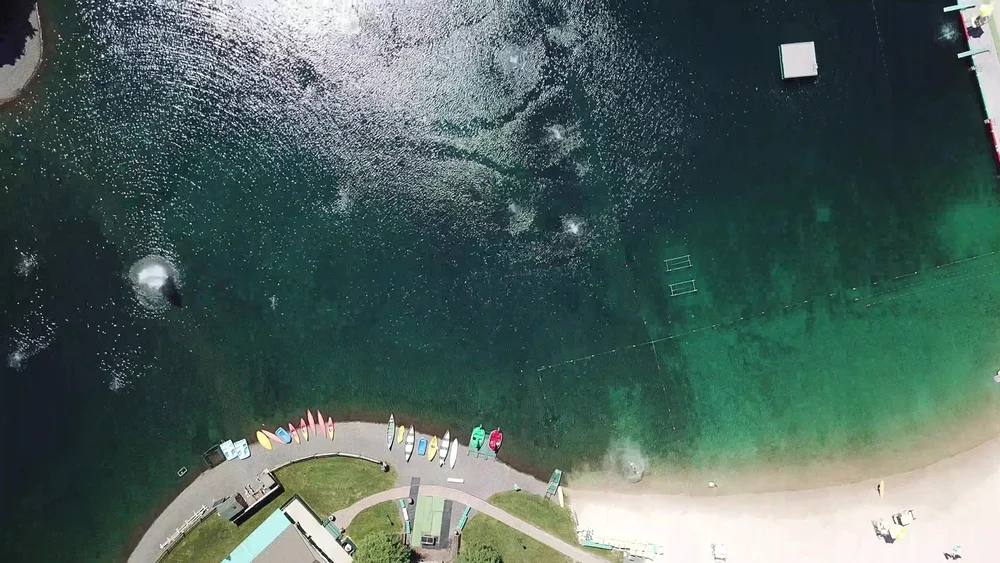 New Members — The Noe Pond Club