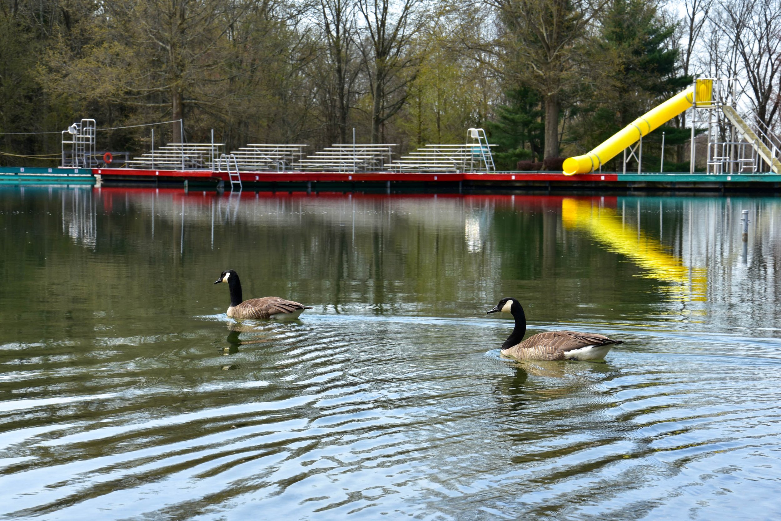 DSC_5508.jpg