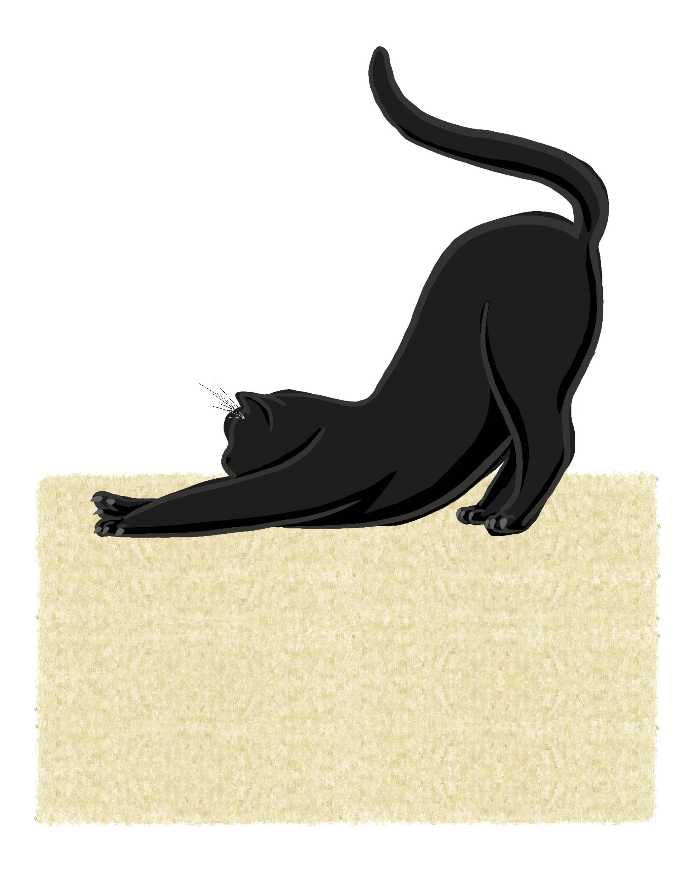 Downward Facing Cat Pose