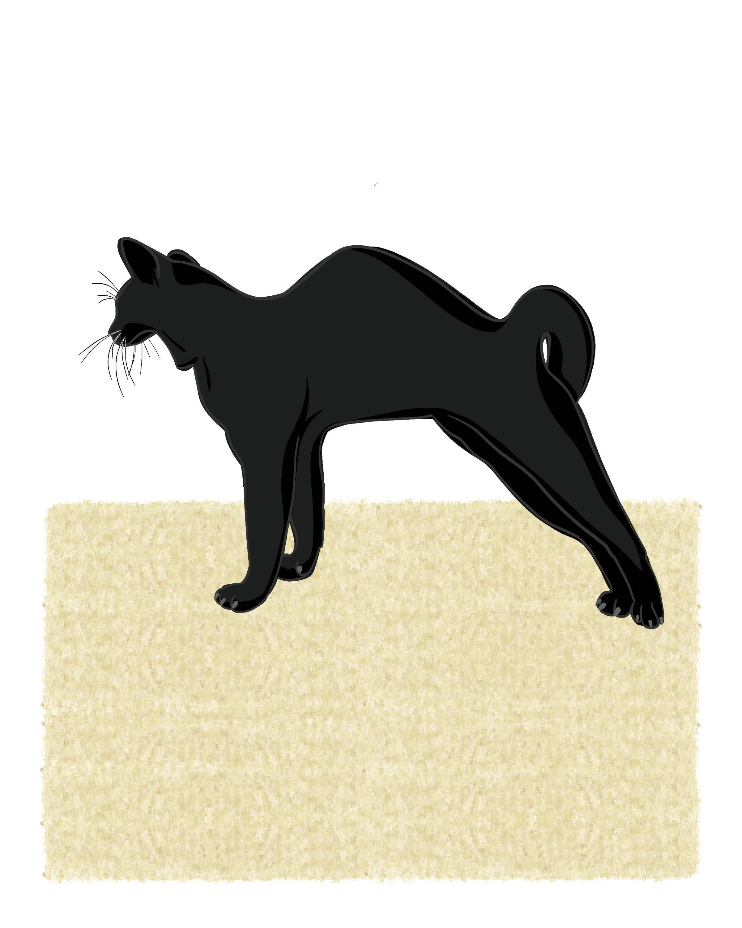 Upward Facing Cat Pose